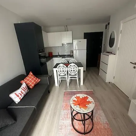 Διαμέρισμα Havalimani Ve Avm Yakini Havuzlu Lux1+1 Ozel Fiyat *